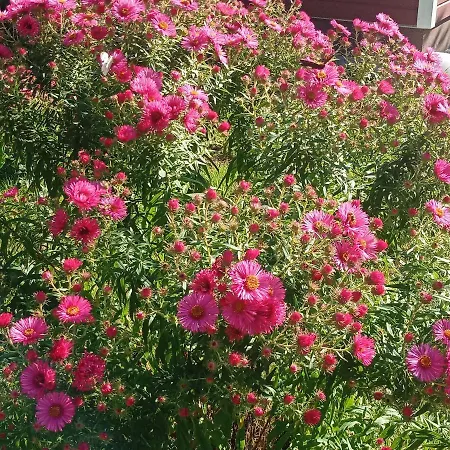 Am Wald Casa de Férias Wippra