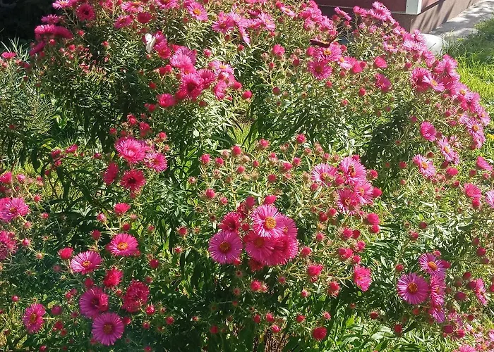 Am Wald Сasa de vacaciones Wippra